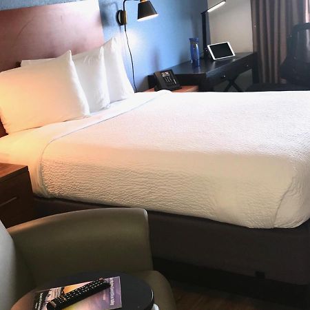 Hotel Focus Sfo South San Francisco Dış mekan fotoğraf